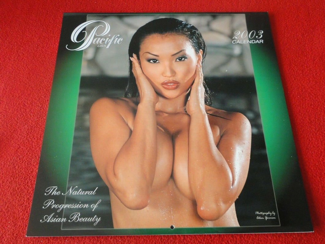 Vintage Large Semi-Nude Pinup Wall Calendar 12 x 12 2003 Pacific USA           B