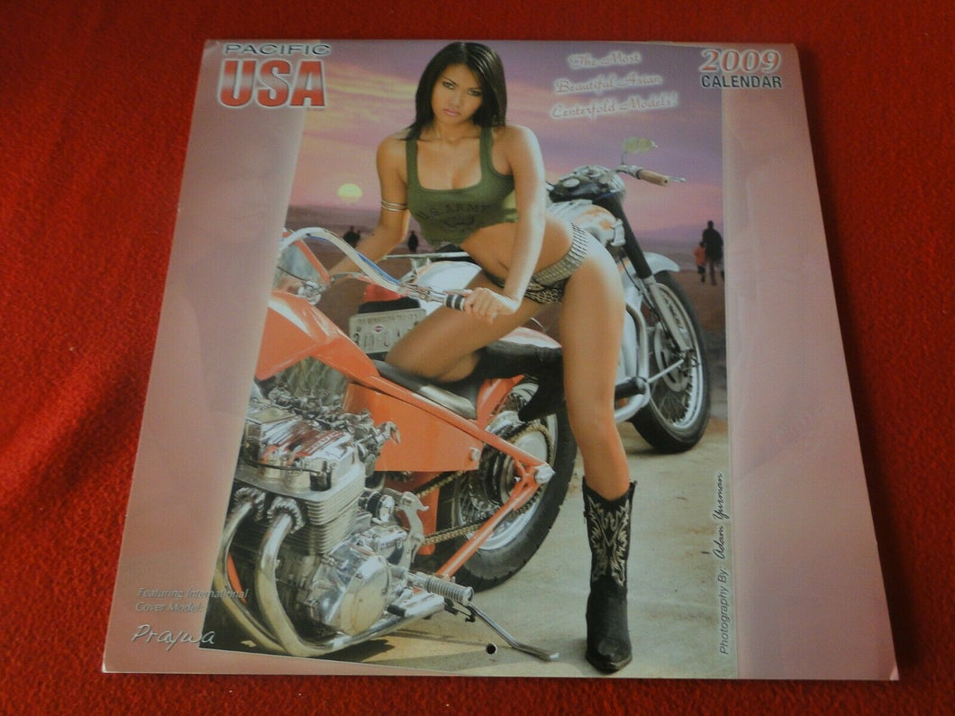 Vintage Large Semi-Nude Pinup Wall Calendar 12 x 12 2009 Pacific USA           B