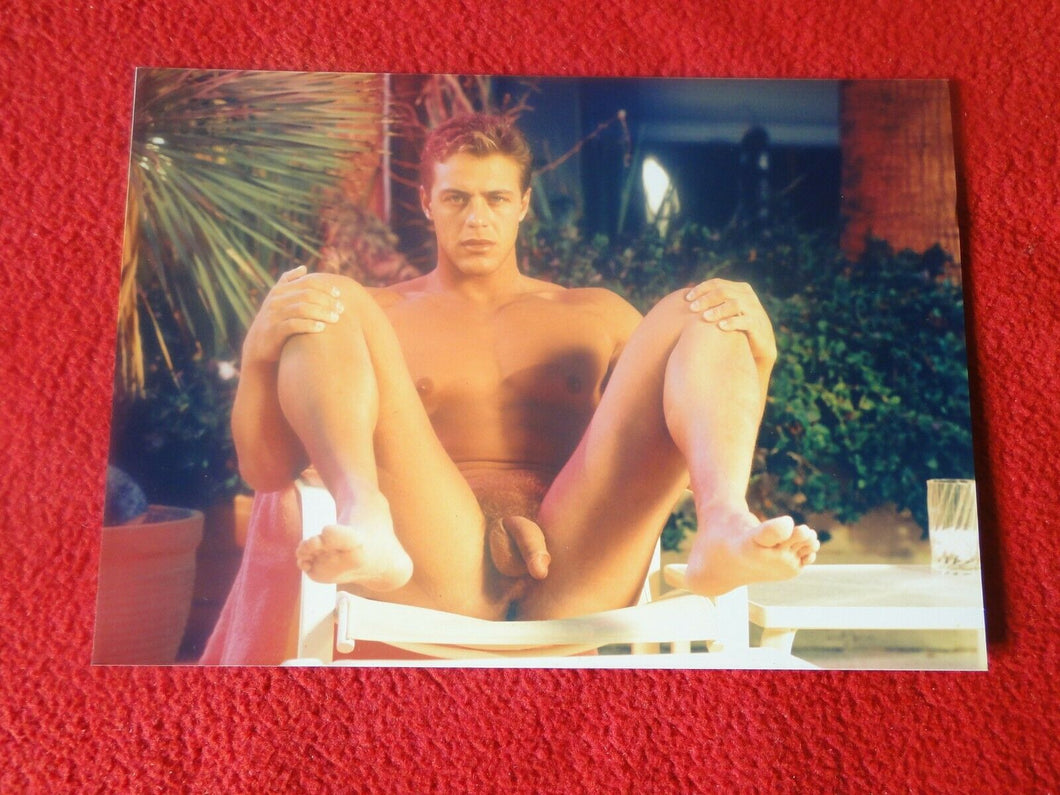 Vintage 18 Y.O. + Gay Interest Colt/Fox/Chippendale Nude Hot Male Photo      D8t