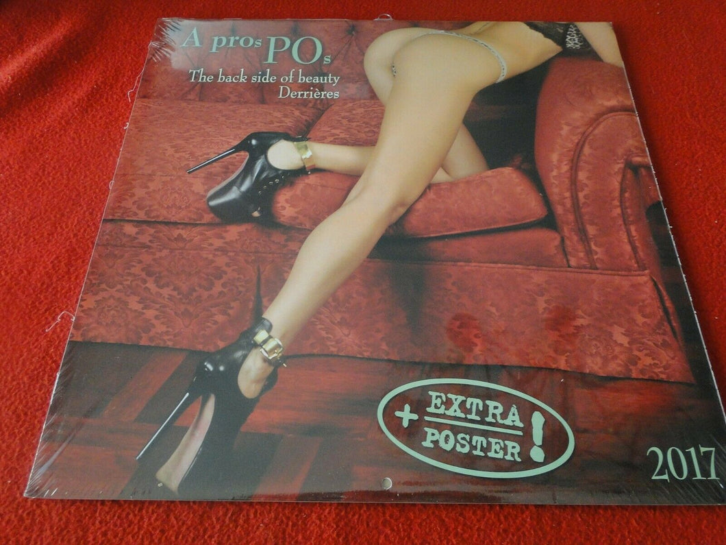 Vintage Semi-Nude Pinup Wall Calendar SEALED 12 x 12 2017 A Pros POs           F