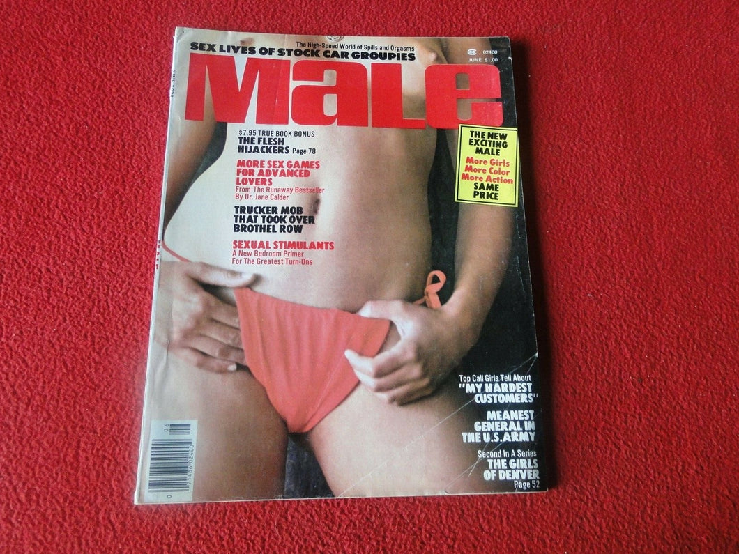 Vintage 18 Year Old + Sexy Erotic Adult Men's Magazine Male June 1976        85