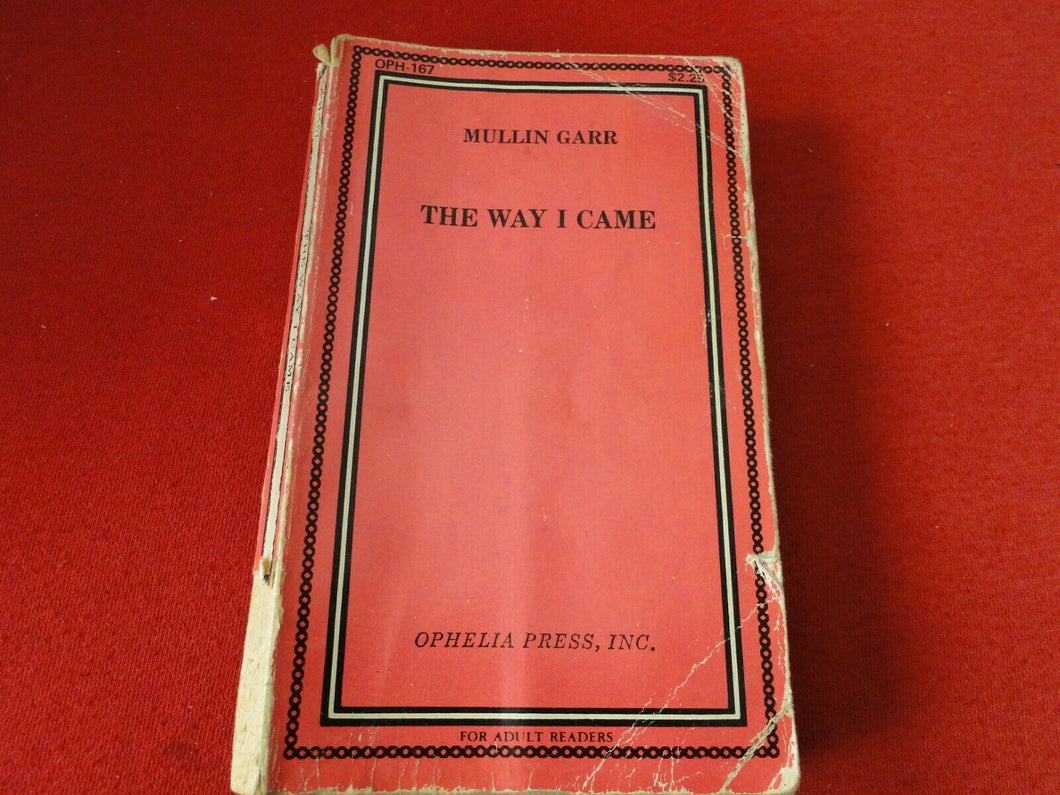 Vintage Sexy Erotic Adult Paperback Book/ Novel The Way I Came                 6