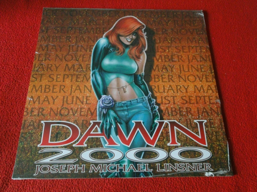 Vintage Large Semi-Nude Pinup Wall Calendar 2000 Dawn SEALED 12 x 12           E