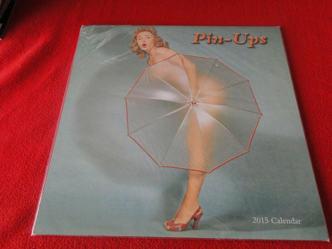 Vintage Semi-Nude Pinup Wall Calendar SEALED 12 x 12 2015 Pin Ups              F