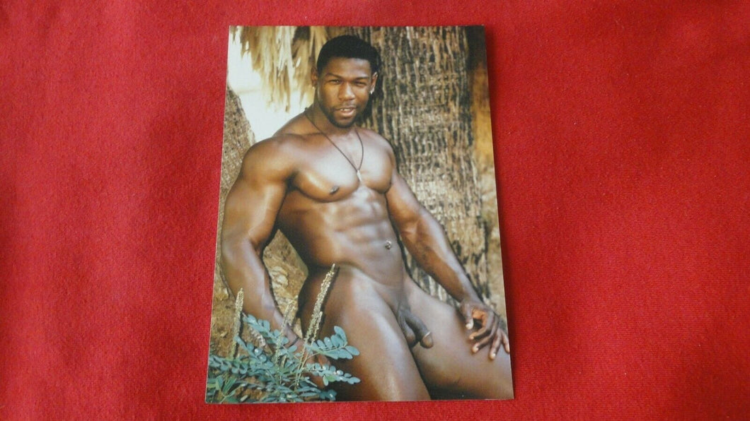 Vintage 18 Y.O + Gay Interest Colt/Fox/Chippendale Nude Hot Male Photo       D*t