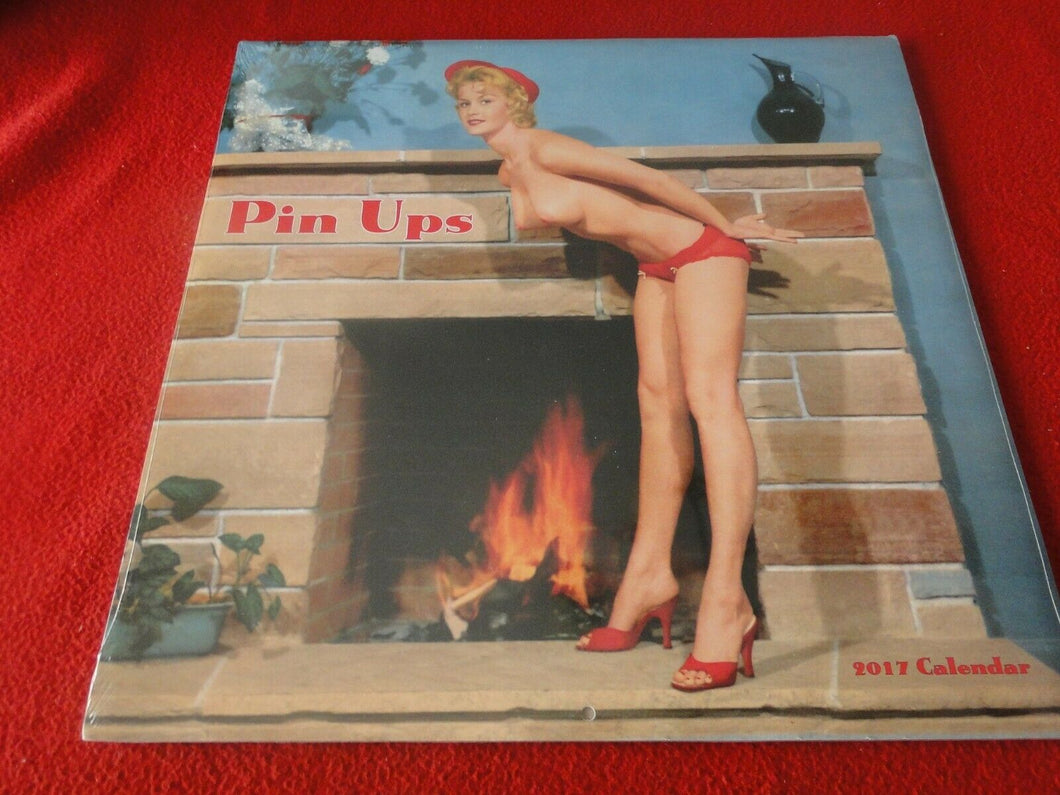 Vintage Semi-Nude Pinup Wall Calendar SEALED 12 x 12 2017 Pin Ups              F