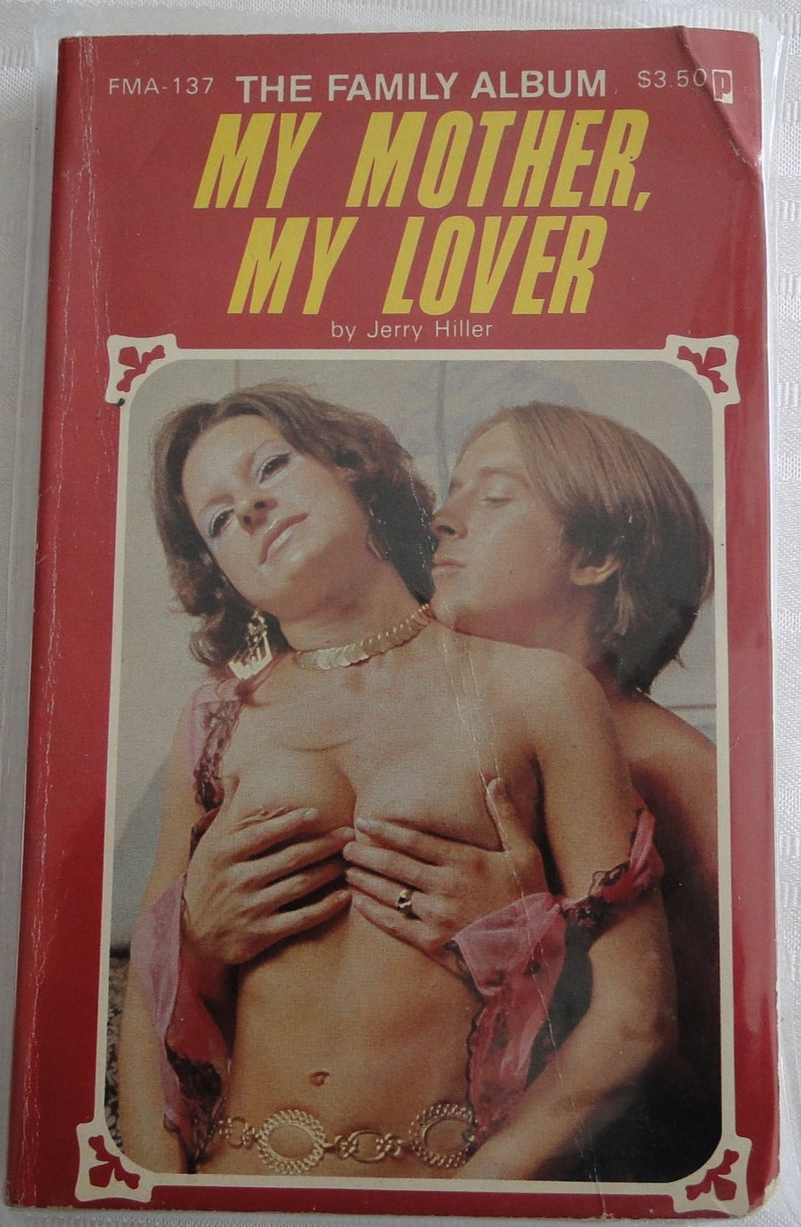 Vintage Adult Paperback Novel/Book My Mother, My Lover Family Album