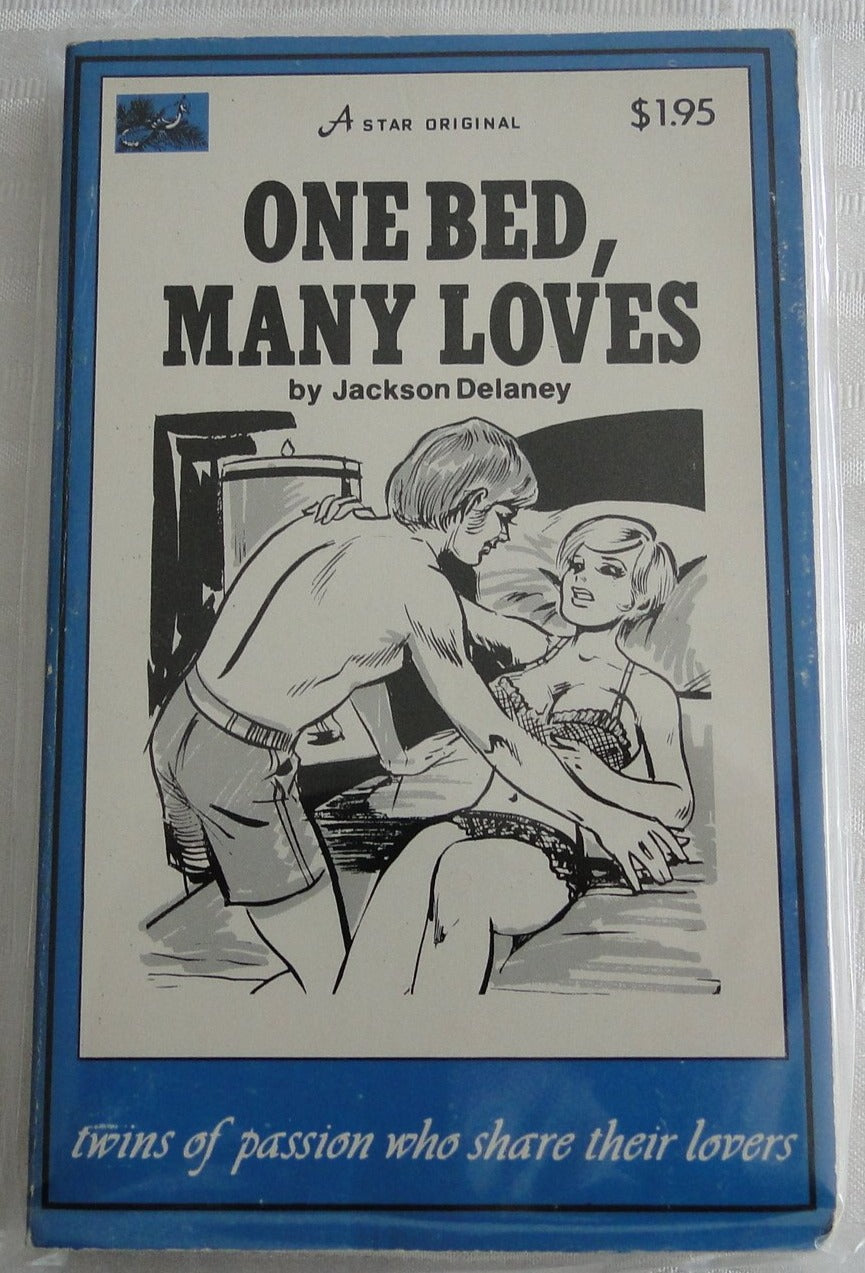 Vintage Adult Paperback Novel/Book One Bed, Many Loves