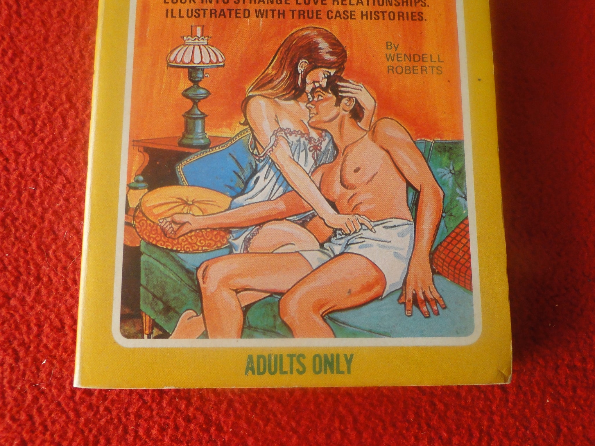 Vintage 18 YO+ Sexy Erotic Adult Paperback Book/ Novel Incest: Fun For –  Ephemera Galore