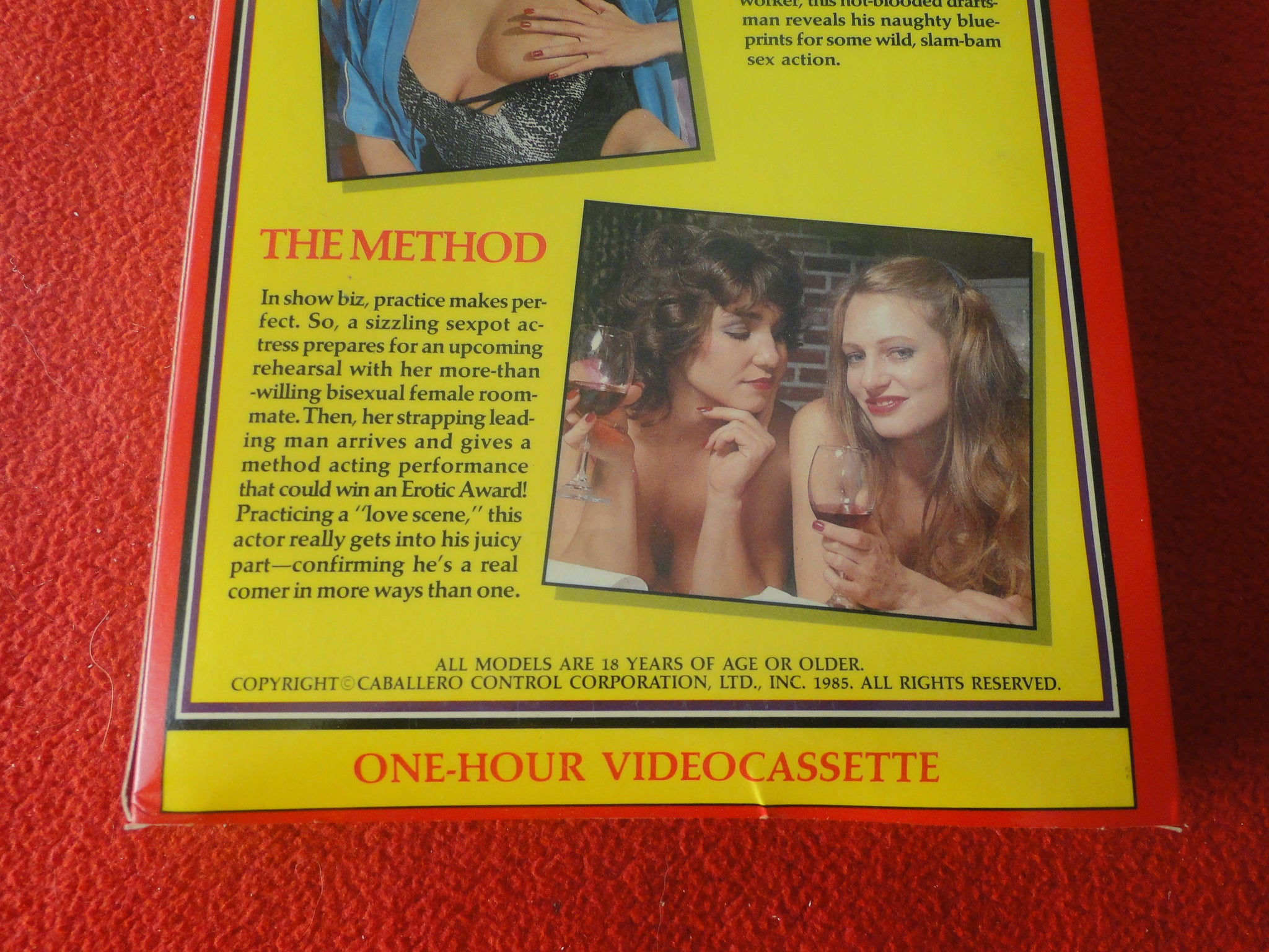 Vintage Adult XXX VHS Porn Tape Swedish Erotica Ami Rogers Little Oral –  Ephemera Galore