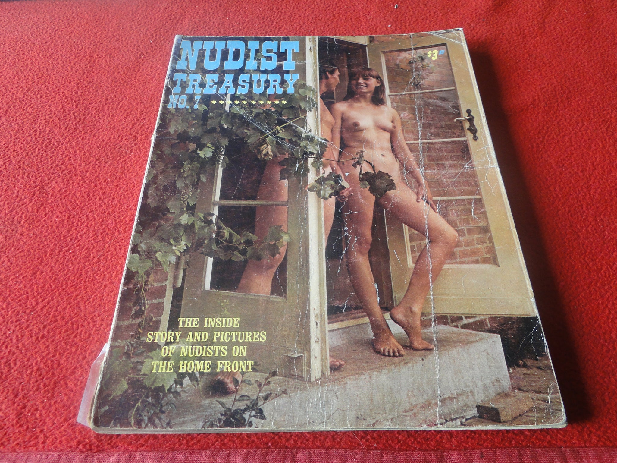 Vintage Nude Erotic Sexy Adult Magazine Nudist Treasury No. 7 1967 HUG –  Ephemera Galore