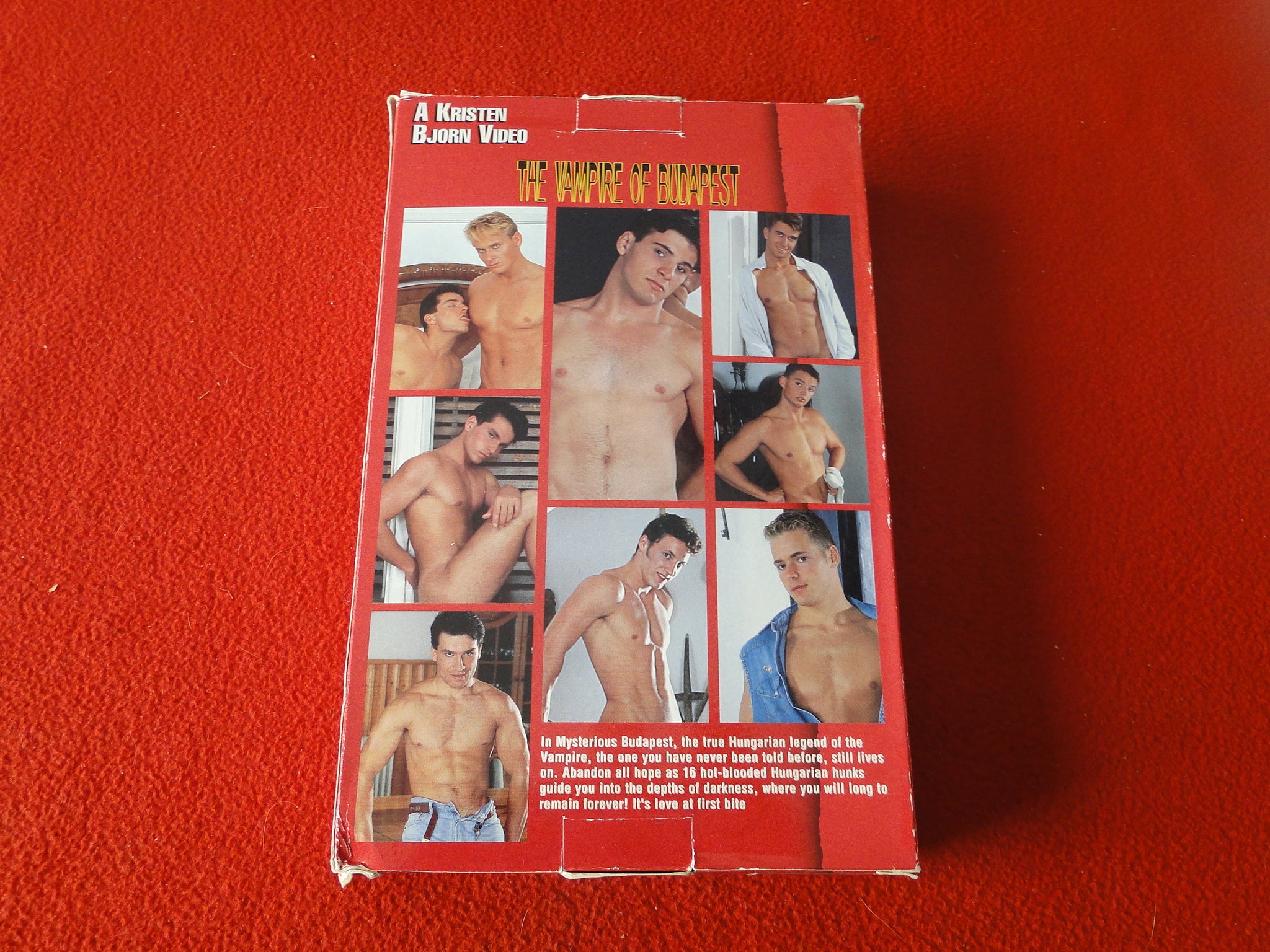 Vintage Adult XXX VHS Gay Porn Movie Kristen Bjorn The Vampire of Buda –  Ephemera Galore