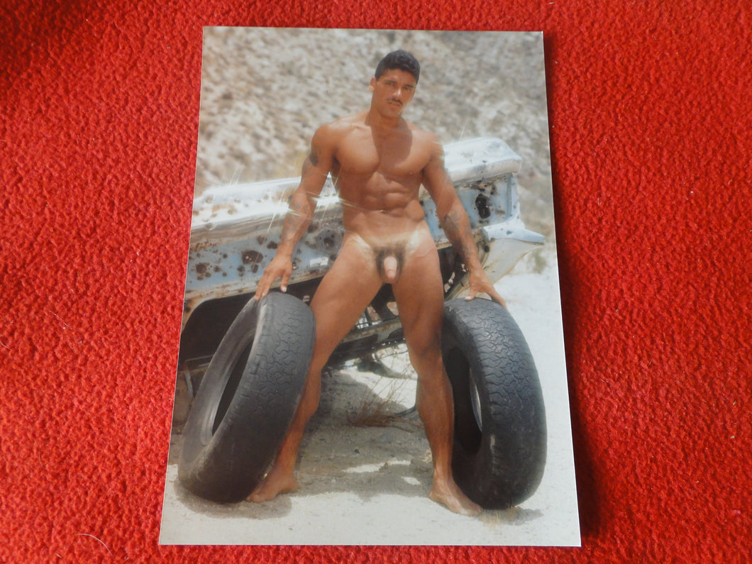 Vintage 18 Y.O + Gay Interest Nude Hot Hung Male Photo Fox /Colt 5 x 7        D^9