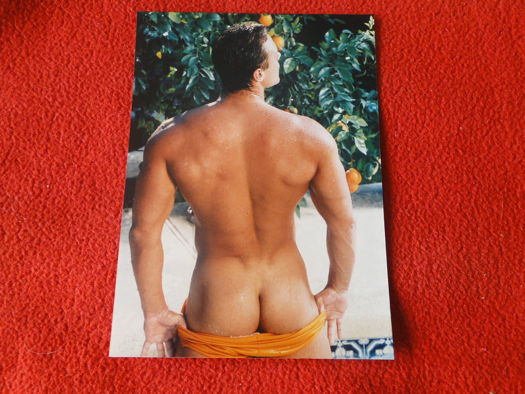 Vintage 18 Y.O + Gay Interest Nude Hot Hung Male Photo Fox /Colt 5 x 7        D^16