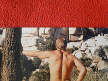 Load image into Gallery viewer, Vintage 18 Y.O + Gay Interest Nude Hot Hung Male Photo Fox /Colt 5 x 7        D^28
