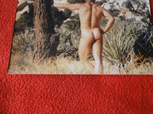 Load image into Gallery viewer, Vintage 18 Y.O + Gay Interest Nude Hot Hung Male Photo Fox /Colt 5 x 7        D^28
