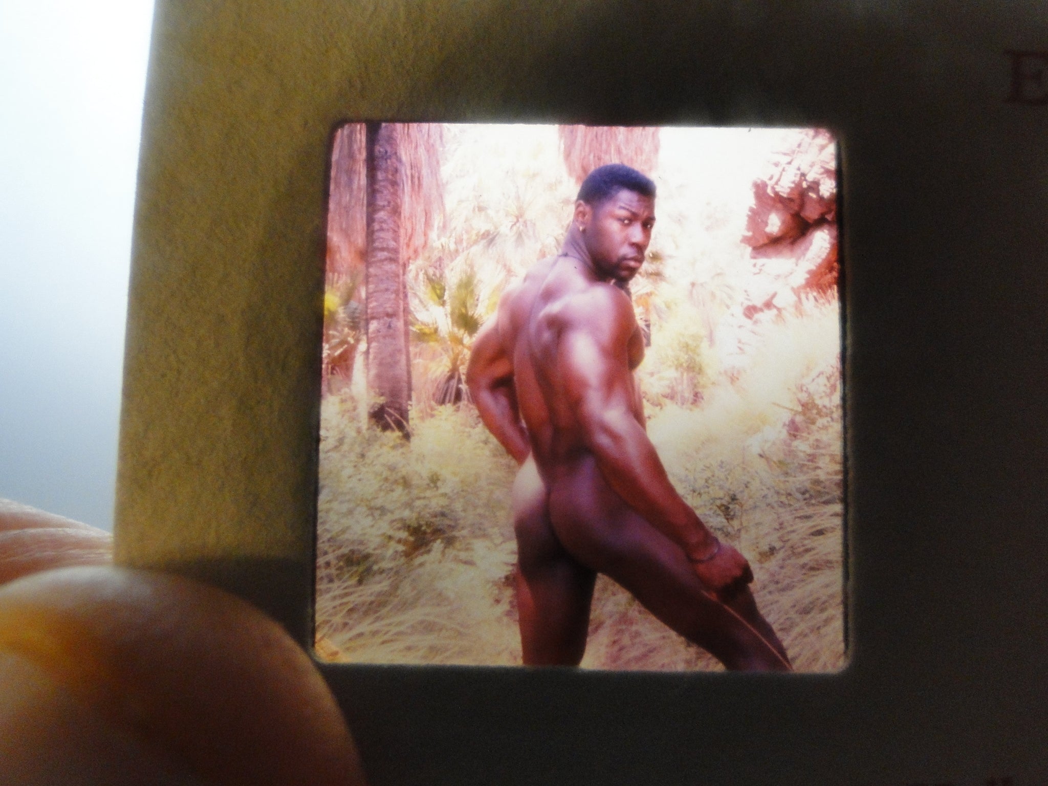 Vintage Adult Erotic 3D Stereoview Nude Hot Hung Black Gay Man Slide B –  Ephemera Galore