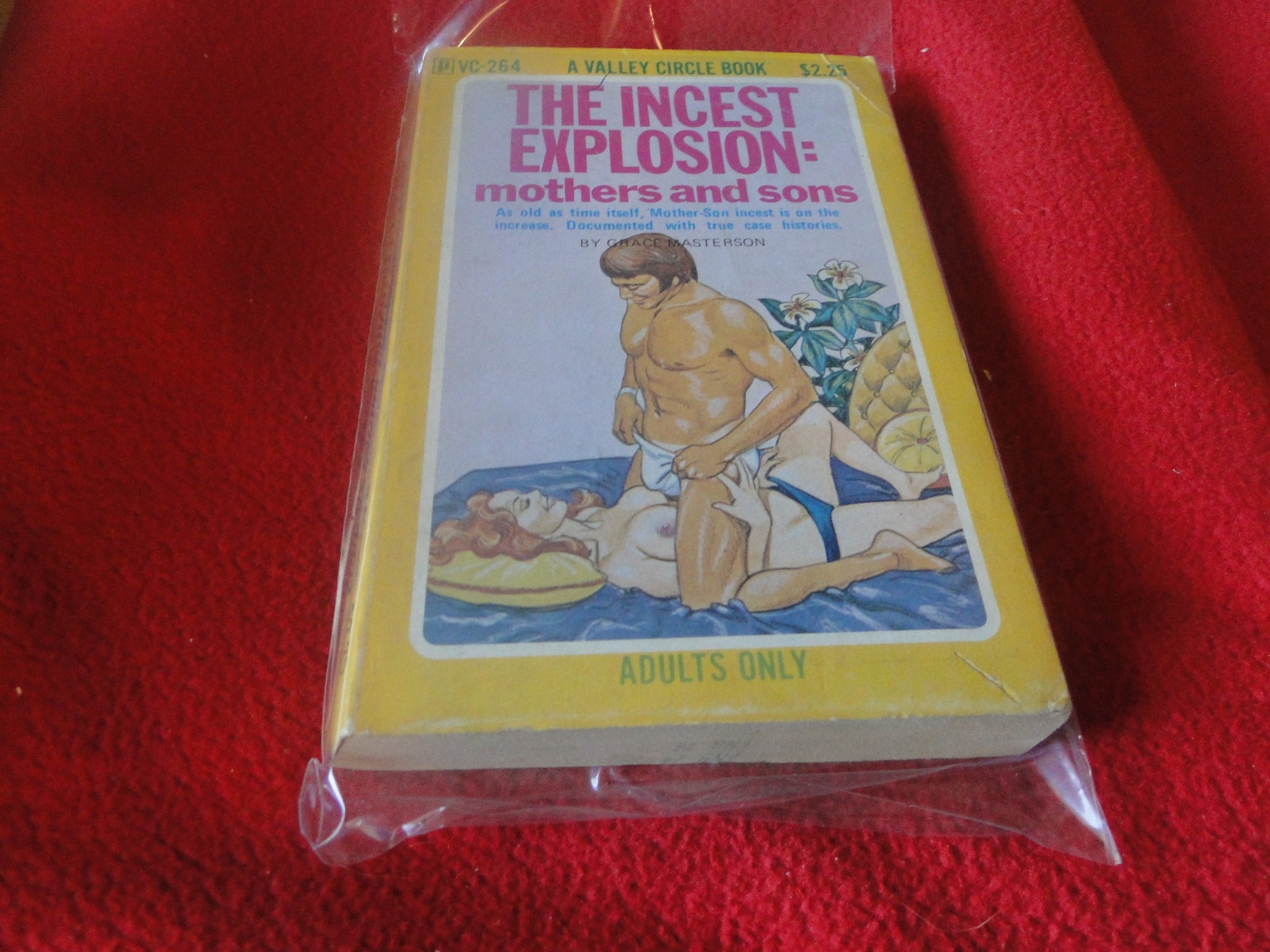 2048px x 1536px - Vintage Adult Paperback Book/Novel The Incest Explosion: Mothers and S â€“  Ephemera Galore