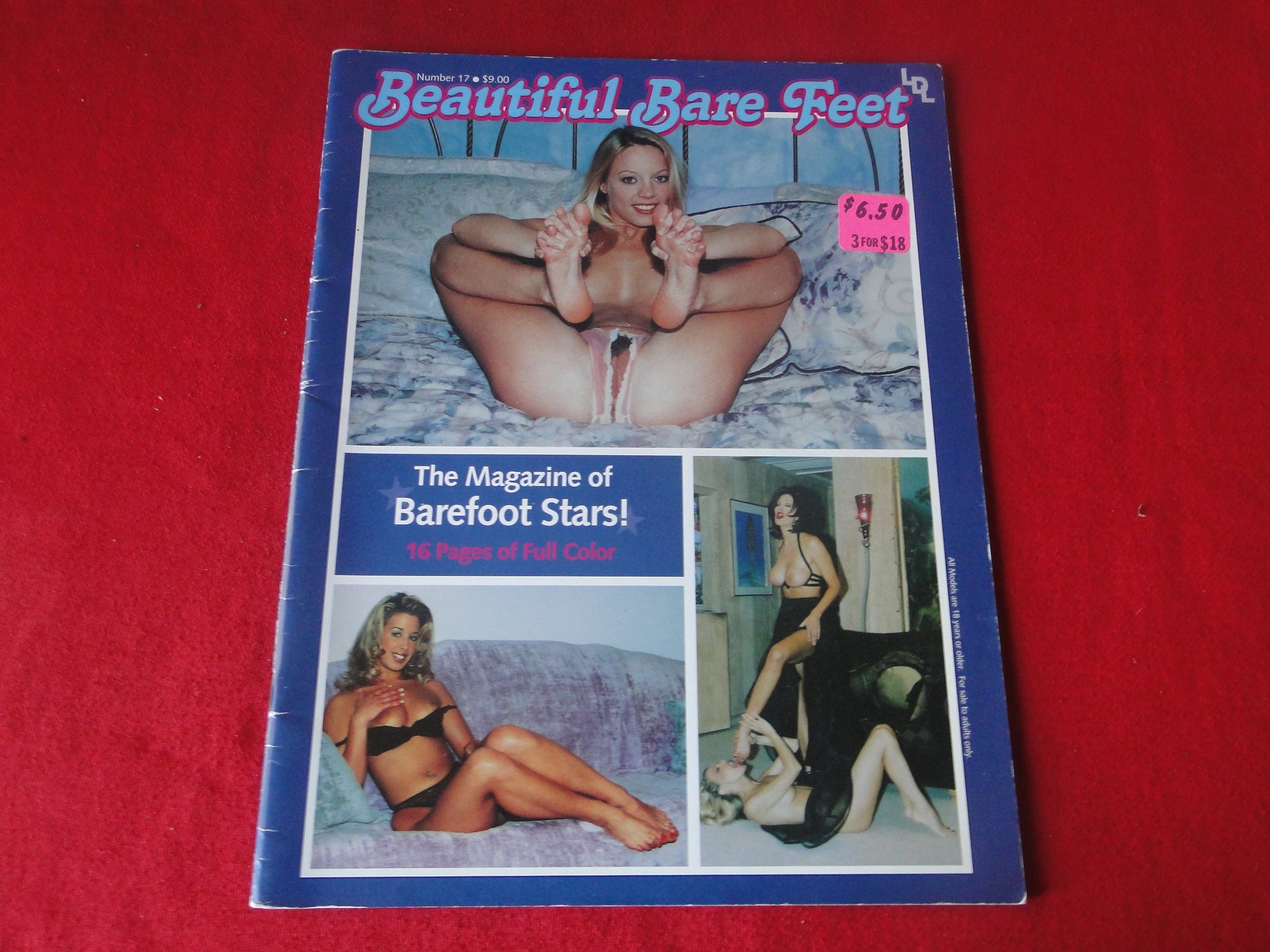 Vintage Nude Erotic Sexy Adult Magazine BDSM Beautiful Bare Feet G3 –  Ephemera Galore