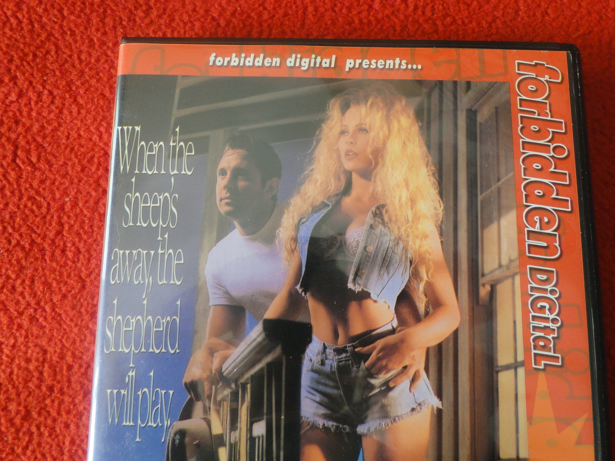 Vintage Erotic Sexy Adult DVD XXX Movie Sleepless In Montana Dyanna La –  Ephemera Galore