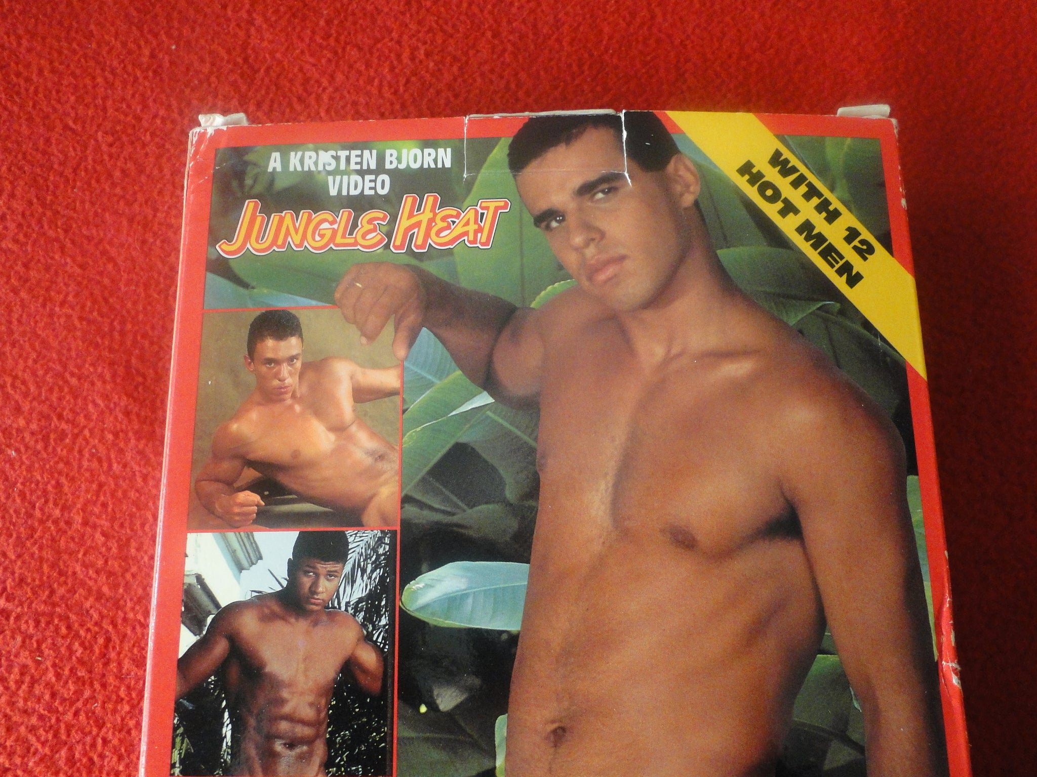 Vintage Adult Erotic XXX Gay VHS Porn Movie Kristen Bjorn Jungle Heat –  Ephemera Galore