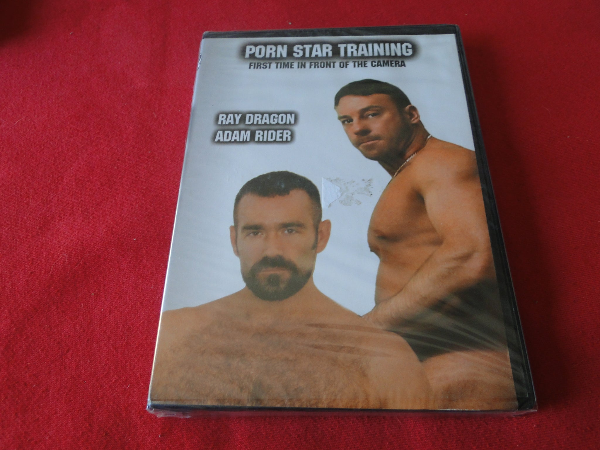 Vintage Adult All Male Gay DVD Rated XXX Porn Movie SEALED Porn Star T –  Ephemera Galore