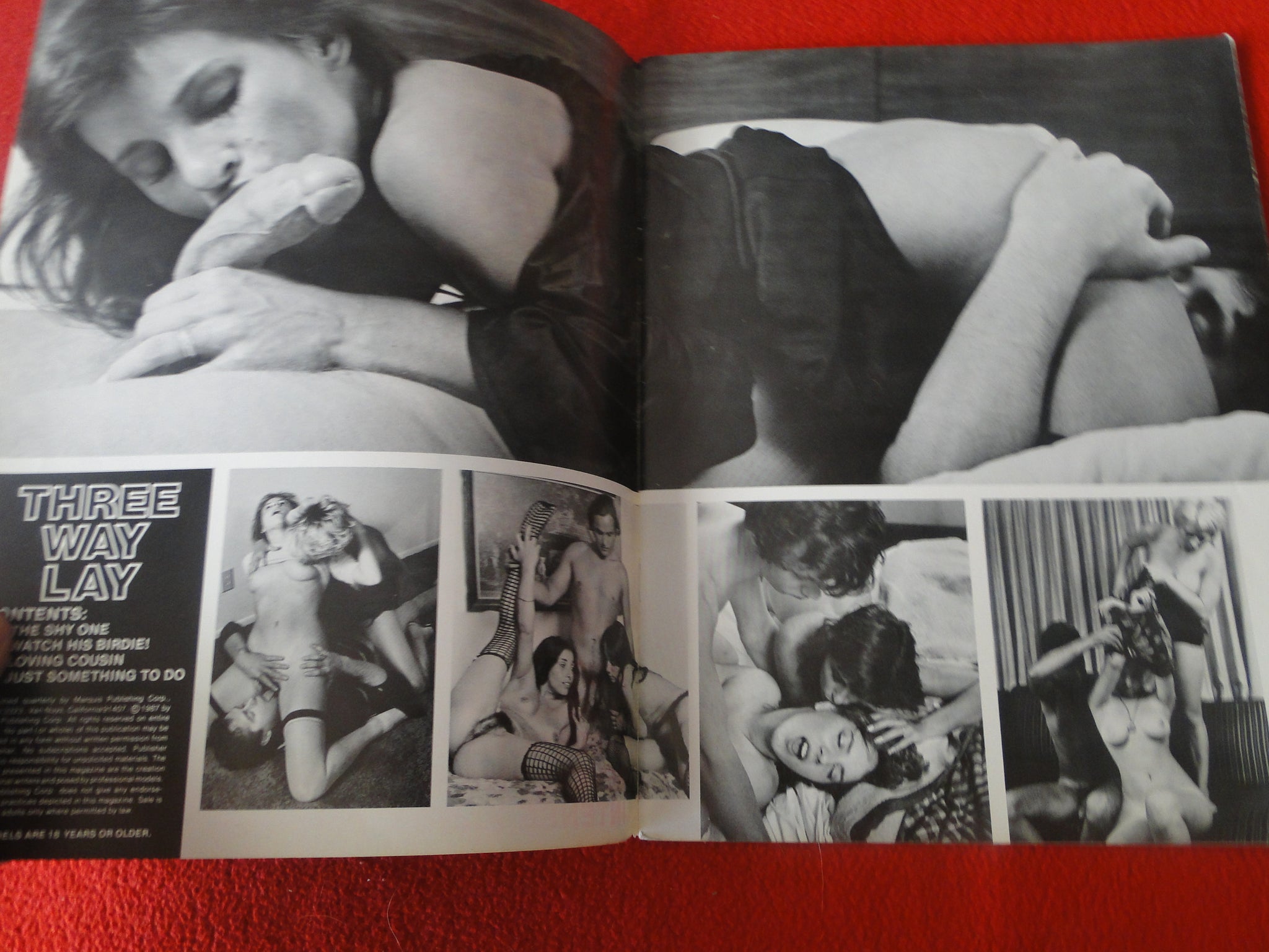 Vintage Nude Erotic Sexy Adult Magazine Three Way Lay 1987 P80 – Ephemera  Galore