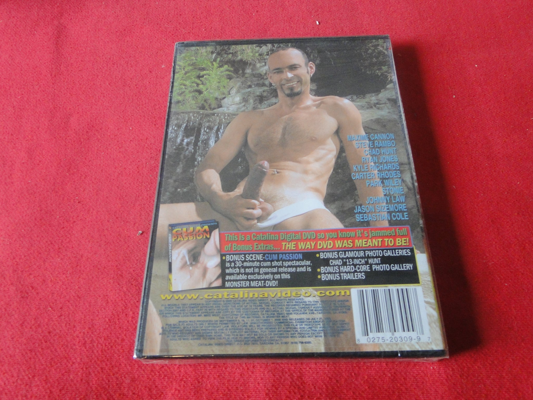 Vintage Adult Gay Porn DVD XXX Movie SEALED Catalina Monster Meat P83 –  Ephemera Galore