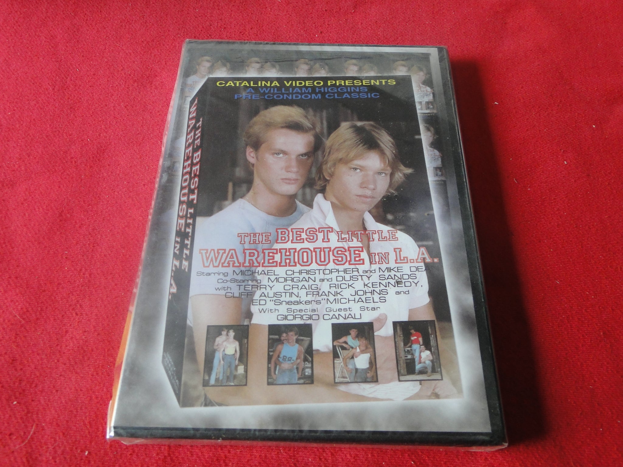 Vintage Adult Gay Porn DVD XXX Movie SEALED Catalina Best Little Wareh –  Ephemera Galore