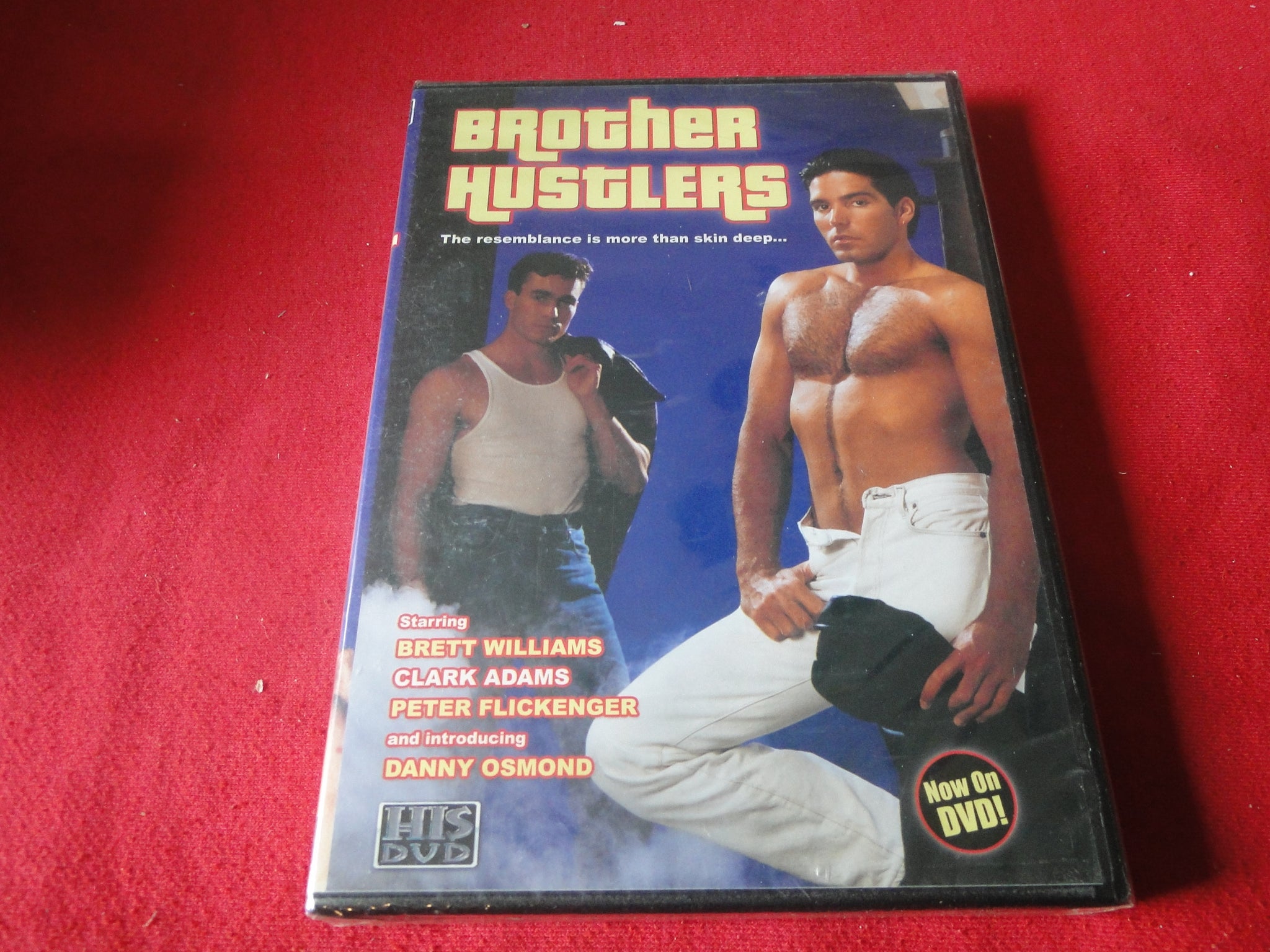 Vintage Adult Gay Porn DVD XXX Movie SEALED Brother Hustlers Brett Wil –  Ephemera Galore